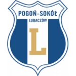 Погонь-Сокол Любачев logo