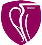 Премьер-лига Второй Раунд logo