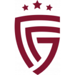 Салют logo