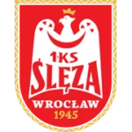 Слеза logo