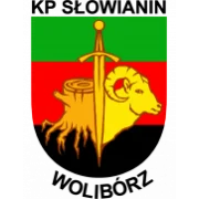 Словьянин logo