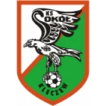 Сокол Клежиш logo