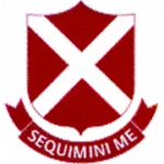 St.Andrews FC logo
