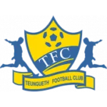 Теунгеф logo