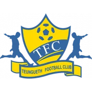 Теунгеф logo