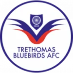 Третомас Блюбердс logo