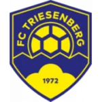 Тризенберг logo