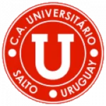 Университет Сальто logo
