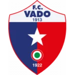 Вадо logo