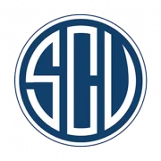 Вианенсе logo