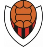 Викингур Рейкьявик logo