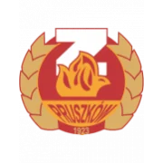 Знич logo