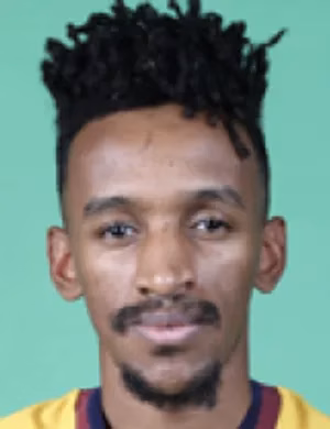عبد الله أحمد الشنقيطي