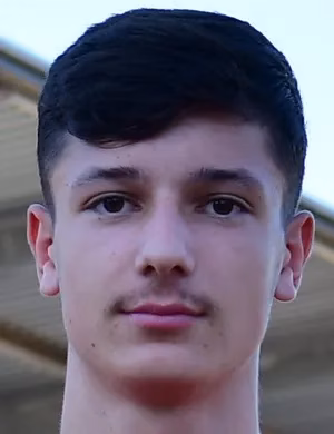 Adis Siljkovic