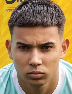 Afonso Ferreira Duarte