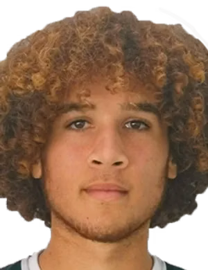 Afonso Fernandes de Oliveira Pinto