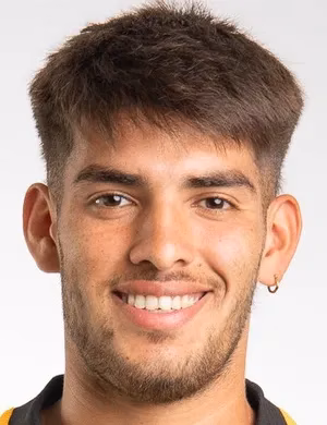 Agustín Blas Palavecino