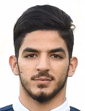 Ahmed Shehda Mohamed Hussin Abunamous