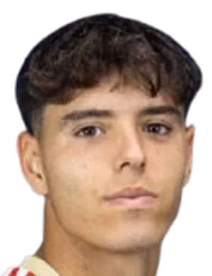 Alejandro Morales Vallejo