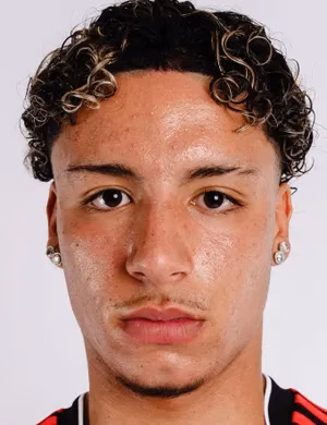 Alessandro Felipe Gaul Souza