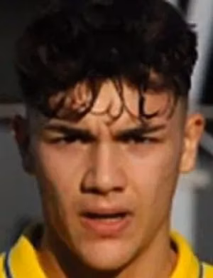 Alessandro Selvini