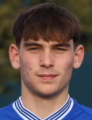 Alex Inselvini