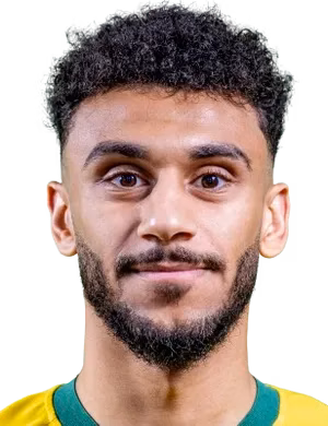 Ali Saeed Ali Al-Shaafi