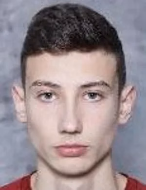 Ali Sokolović