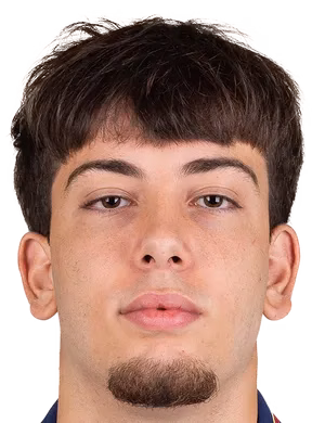 Alonso Bragado Rollón
