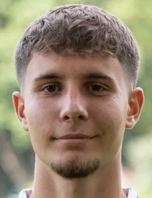 Altin Ibisi