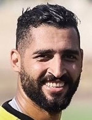 عامر محمد