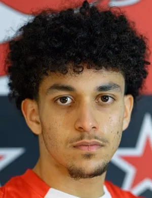 Amin Hajoubi
