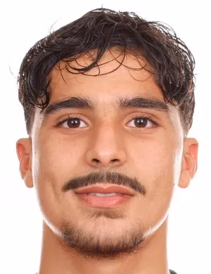 أنس حماس