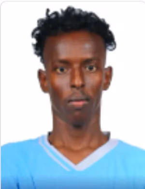 Anas Mohamed Abdi