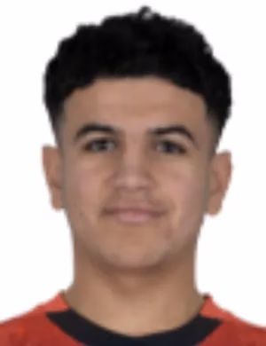 أنس رشدي