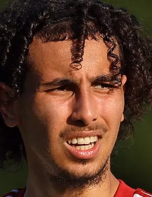 أنس سليماني
