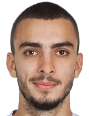 Andrija Raznatovic