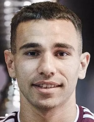 Anel Pirić