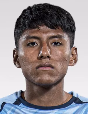 Ariel Osmar Flores Mamani