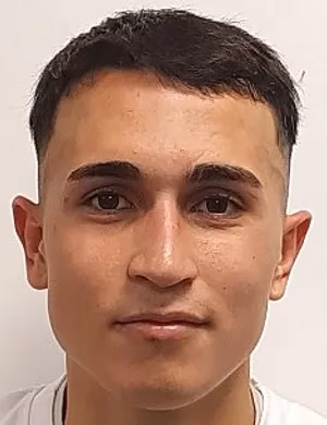 Arman Lazcano Çelik