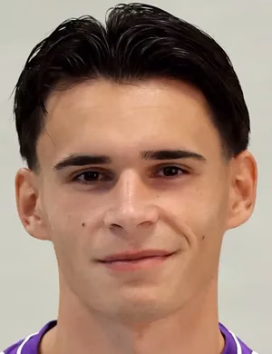 Armin Karić