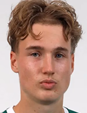 Avid Krogmann