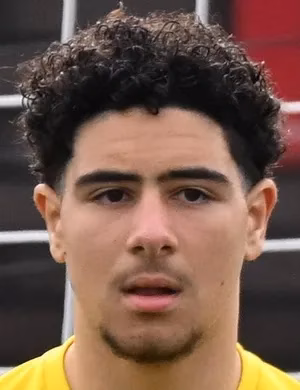 أيمن الهاني