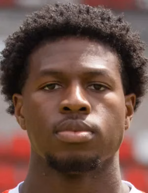Ayooluwa David Adesida
