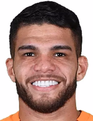 Berguinho