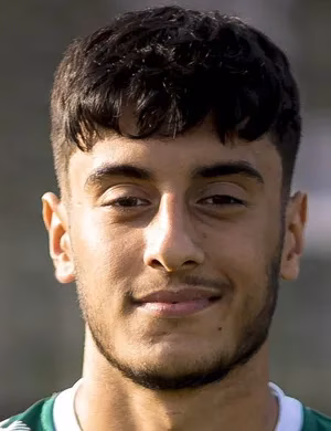 Berk Akcicek