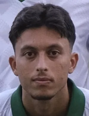 Berke Şenözlüler