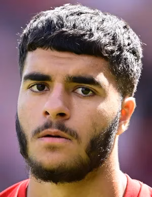 بوتان أمين , Botan Taha Kareem Ameen
