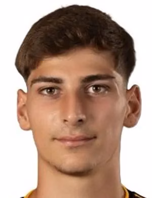 Bruno Miguel Pinto Faria