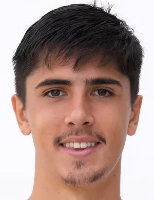 Carlos Alemán Castillo